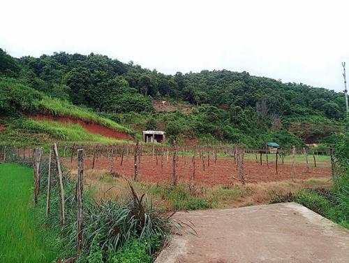 Nhà phố Tân Phú Q.9, trung tâm sầm uất - Nơi an cư lý tưởng